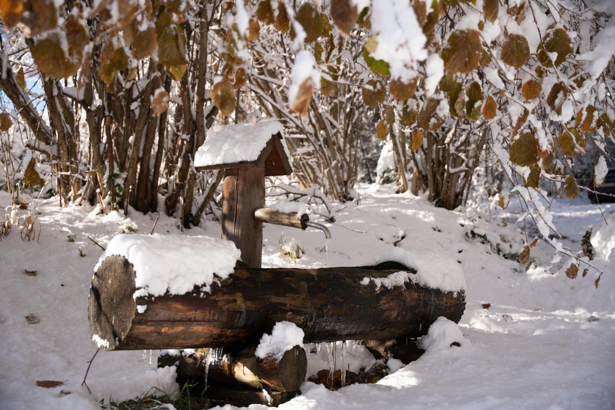 Gregor'S Ferienhaus Im Wald Edelschrott Exteriör bild