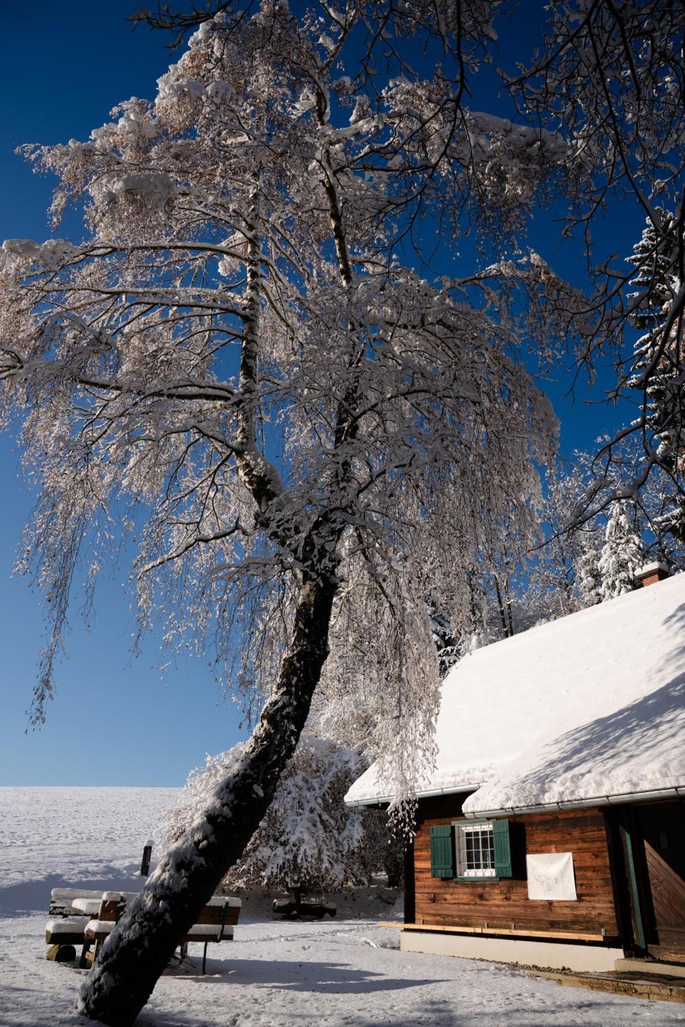 Gregor'S Ferienhaus Im Wald Edelschrott Exteriör bild